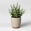 Textured Ceramic Planter Pots White - Opalhouse™ -Home Furnishings Store GUEST 81b3ab19 db4f 409c 9397 ff90f528d623