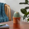 Cactus Ultrasonic Diffuser Green - Opalhouse™ -Home Furnishings Store GUEST be681bb5 49e3 41f7 99a3 5bc52fb79585